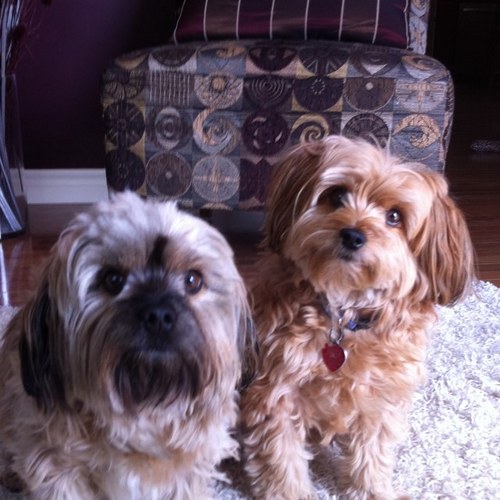 tinapruys's profile picture. 