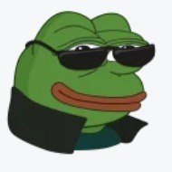 KodokRug's profile picture. Kodok Rug