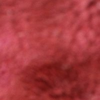 خالد (@fiz9yl6m) Twitter profile photo