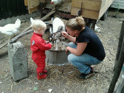 Beiderwaen Landbouw Cv. Biologisch dynamische akkerbouw/groenteteelt  Zeeuws Vlaanderen.