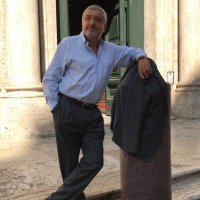 Gianfranco Viesti(@profgviesti) 's Twitter Profileg