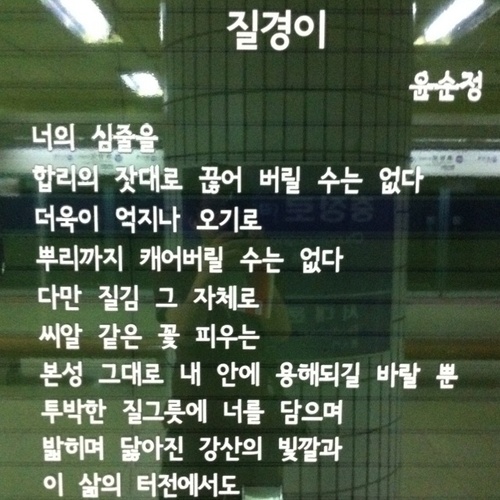 편식,편애,편견에 빠진 1인. ~류에 잘 속하지 못하는 사람. 자신이 어떠한 부~류인지 아직 파악 못함. 인간관계에 사심 가득함. 그래도 진심은 통한다고 믿는 사람. 가슴에 詩心을 버리지 못함. 늘 갈증에 허덕임.