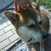 Yutaka ARIMOTO (@arimotoy) Twitter profile photo Yutaka ARIMOTO (@arimotoy) Twitter profile photo