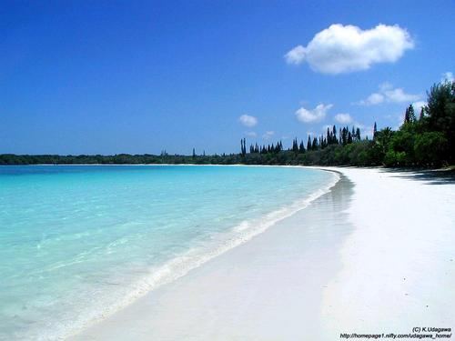 aaafist's profile picture. 