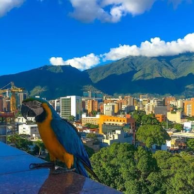 Venezolana.  Amante de la Libertad y de la naturaleza