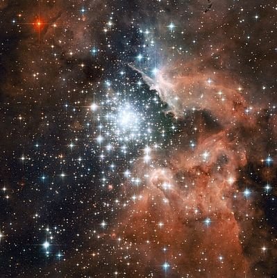 jwi1991king's profile picture. 