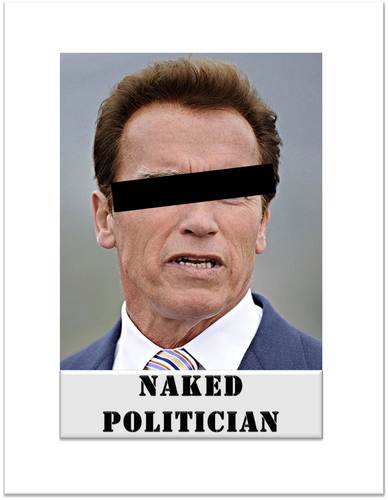 Naked Politician Nakedpolitician Twitter