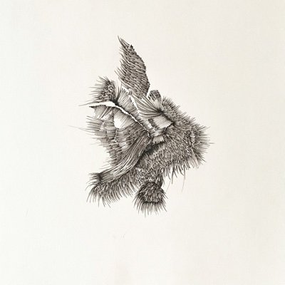 marpoznanska's profile picture. Artist based in Berlin. Analog and Digital Gestures.
For sale and not. Ephemeral and Ever-evolving.