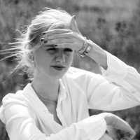 Ansley Steed (@ansleysteed) 's Twitter Profile