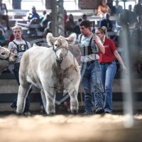 Jarrin Goecke (@jarringoecke) 's Twitter Profile Photo