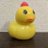 アヒル観察's icon