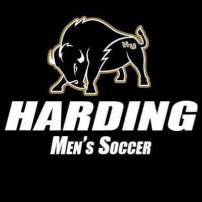 Harding_MSoc Profile Picture