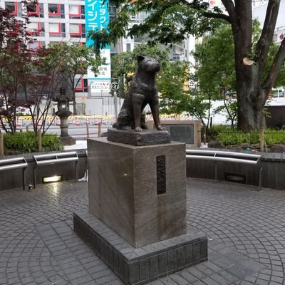 むちむち、ぽっちゃり好きです。
ホイホイ行きます。