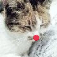 ใฝใฃใท ใ (@f3hvu6kktyxcoaf) 's Twitter Profile Photo ใฝใฃใท ใ (@f3hvu6kktyxcoaf) 's Twitter Profile Photo