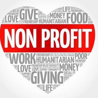 Nonprofit1234's profile picture. 