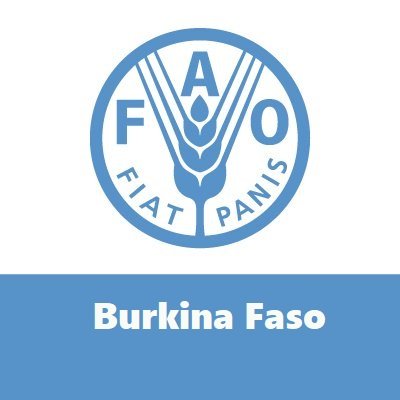 Toutes les informations sur l'Organisation des Nations Unies pour l'Alimentation et l'Agriculture (@FAO) au Burkina Faso. Nous travaillons pour la #FaimZéro.