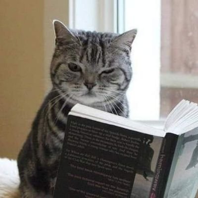 permen_kappass's profile picture. Pengen kenal ya kenalan aja ga perlu stalk