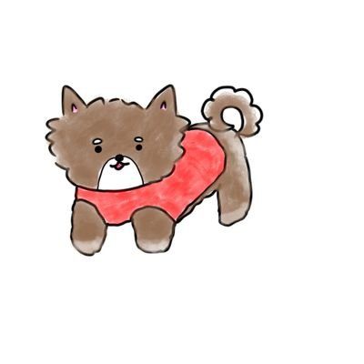 riapakaさんのプロフィール画像
