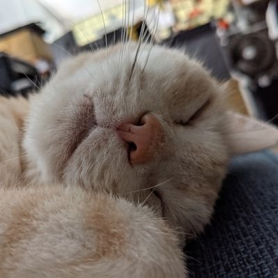 loshihyen's profile picture. Product Designer & Mechanical Engineer