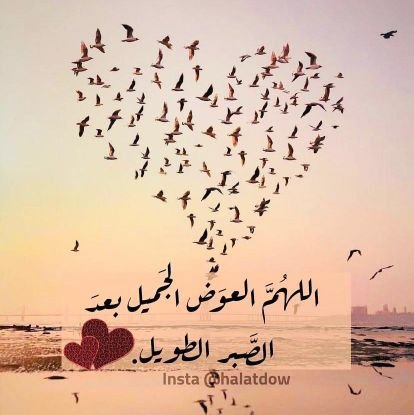 وَمَا اَلَعَمَر الأ لَحَظَهَ..
وَلَيَسَ لَنَاَ الأ حَسَنَ خَاَتَمَتَهاَ
اَلَلَهَمَ اَرَزَقَنَا حَسَنَ اَلَخَاَتَمَةَ