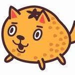 拍さんのプロフィール画像
