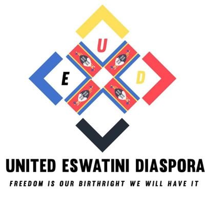 Non profit , non partisan,non governmental organization dedicated to fighting efforts  towards justice, democratic governance and human rights in eSwatini