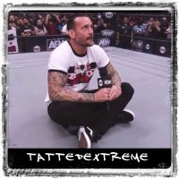 CM Punk. Parody. (@deathdealerpimp) 's Twitter Profile