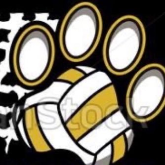 Salina South Volleyball, Home of the Cougars, Ark Valley League, 5A Classification