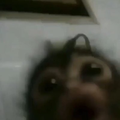 StolenEnon's profile picture. 