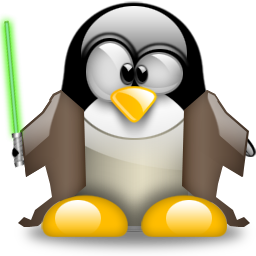 Informatikus, webfejlesztő.