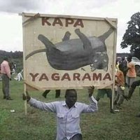 Kappa Yagarama (@kyagarama) 's Twitter Profile Photo Kappa Yagarama (@kyagarama) 's Twitter Profile Photo