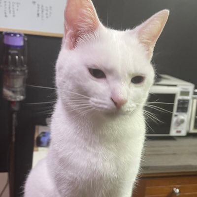 ．さんのプロフィール画像