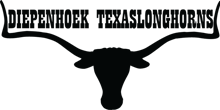 First Texaslonghorn cattle rancher in Europe where you can buy livestock, embryos and semen. Big horns, special colours. Country and Western Lifestyle.