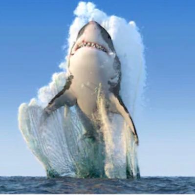 @john_shark67