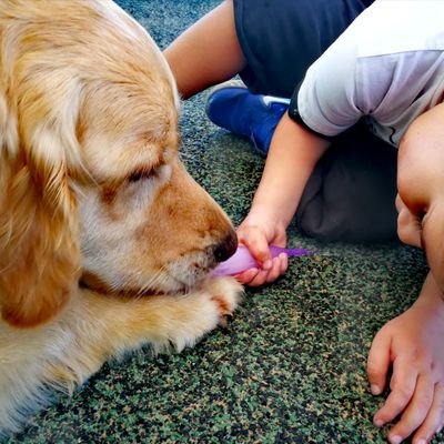 Eddie_Therapy's profile picture. ‏מלמד בניאדמים קטנים להיות בני אדם.