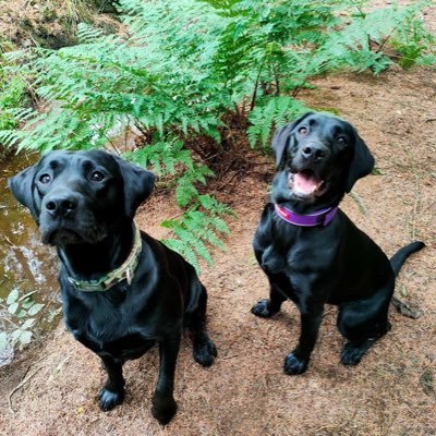 angelaevans_8's profile picture. 