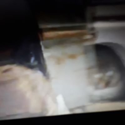 Hdfhs9997's profile picture. hgfdsgeg