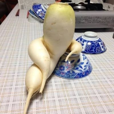 ArisaL.さんのプロフィール画像