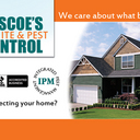 Steven Roscoe - @roscoespest - Twitter