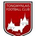 Tongwynlais Football Club (@tongwynlaisfc) Twitter profile photo Tongwynlais Football Club (@tongwynlaisfc) Twitter profile photo