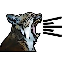 Audiovet.co.uk (@morethanavet) 's Twitter Profile Photo Audiovet.co.uk (@morethanavet) 's Twitter Profile Photo