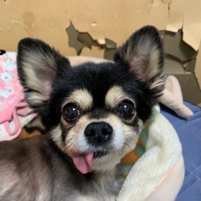 yoshitaka7294's profile picture. 宜しくお願いします。