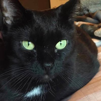 5oclockshadow67's profile picture. 