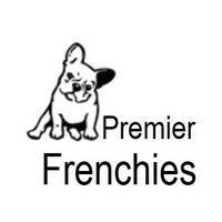 Premier French Bulldogs(@PremierFrenchyz) 's Twitter Profile Photo