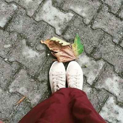 nilofarnasimi's profile picture. 🐳🐚