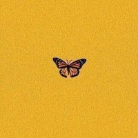 بيطار (@txptox) Twitter profile photo