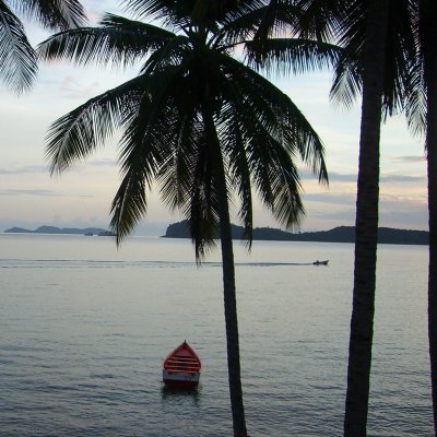 cpdmath2's profile picture. 