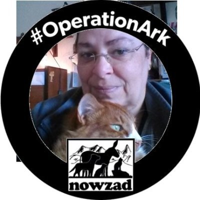 Self employed crafter. Also Elfie/Designer at @DownlandCrafts & co-host of @CraftBizParty. Supporter of @Nowzad charity.
https://t.co/mgpnp9kQPA