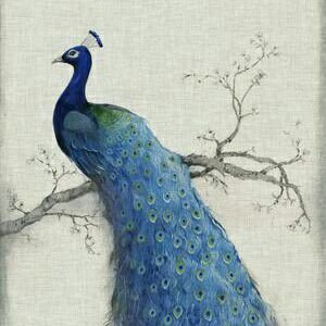 LifeISOne14's profile picture. 💙Sport & Video Game💙/🚫Porn/ 🌏, How does it end?