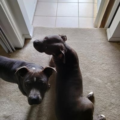 Derrick55427029's profile picture. 